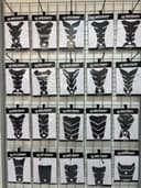 MaxxGrip Tank Pads 1