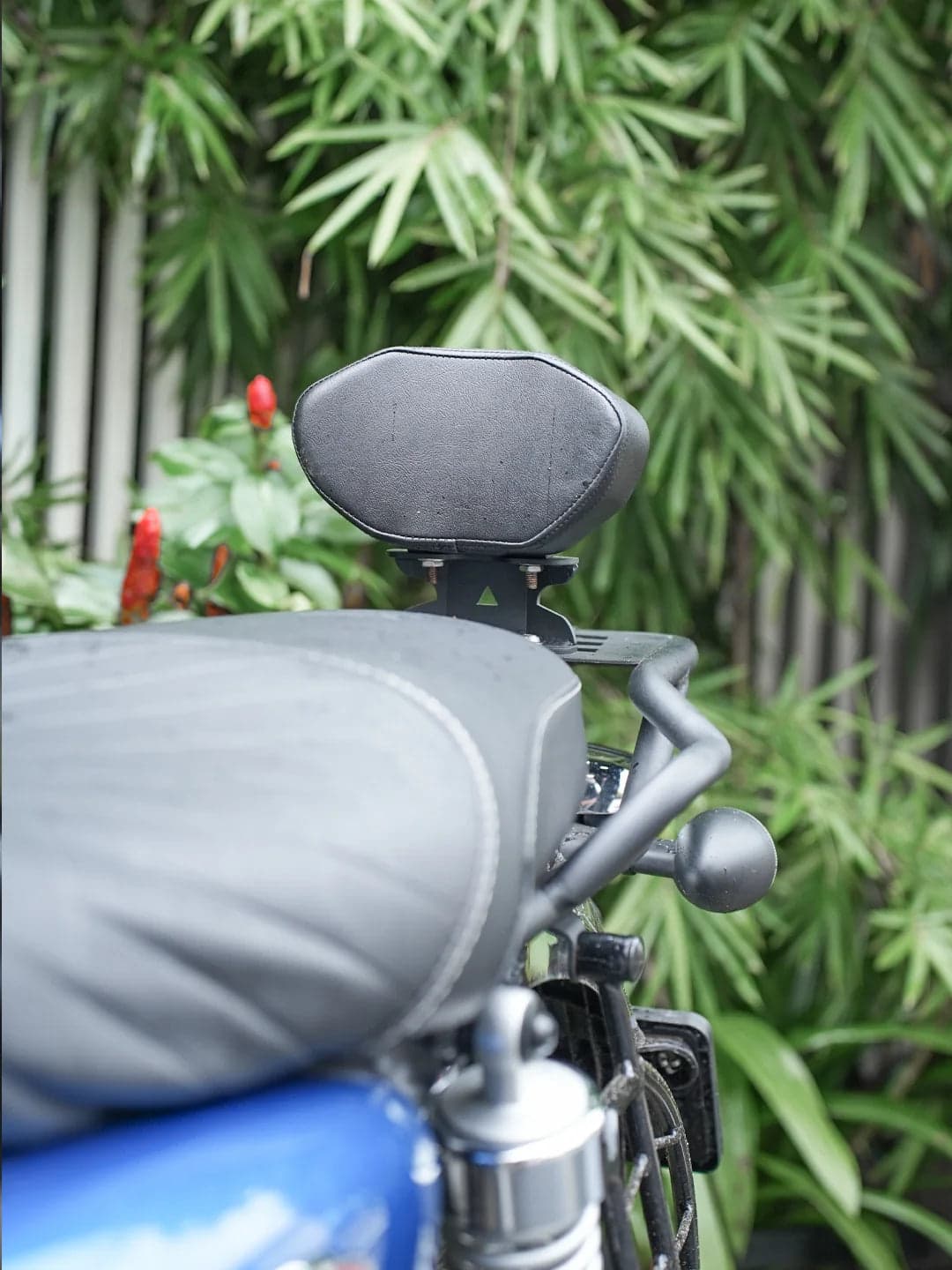 Reborn/Vstrom/Hness/CB200x/Himalayan450 Backrest